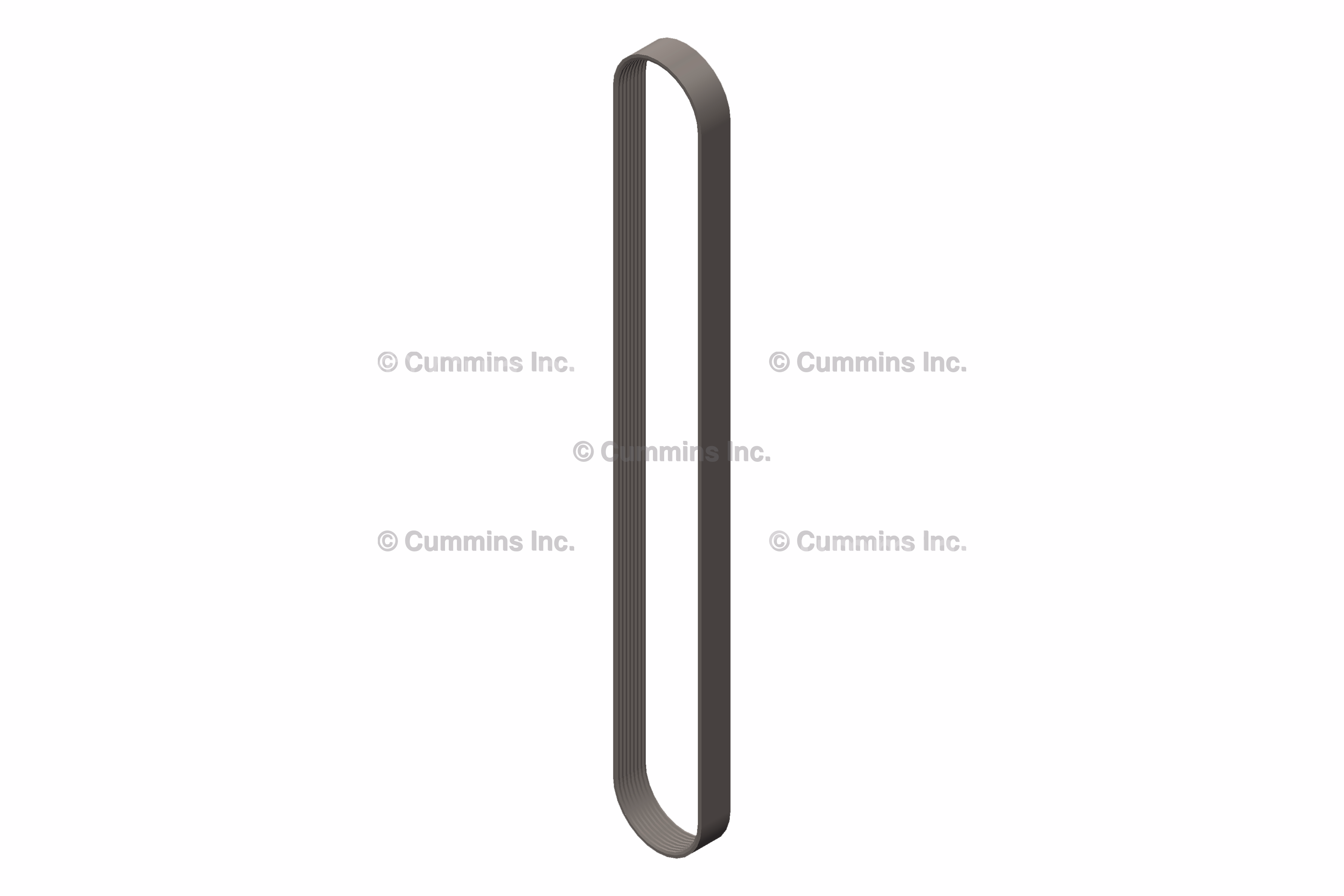 Cummins 5690198 V-Ribbed Belt