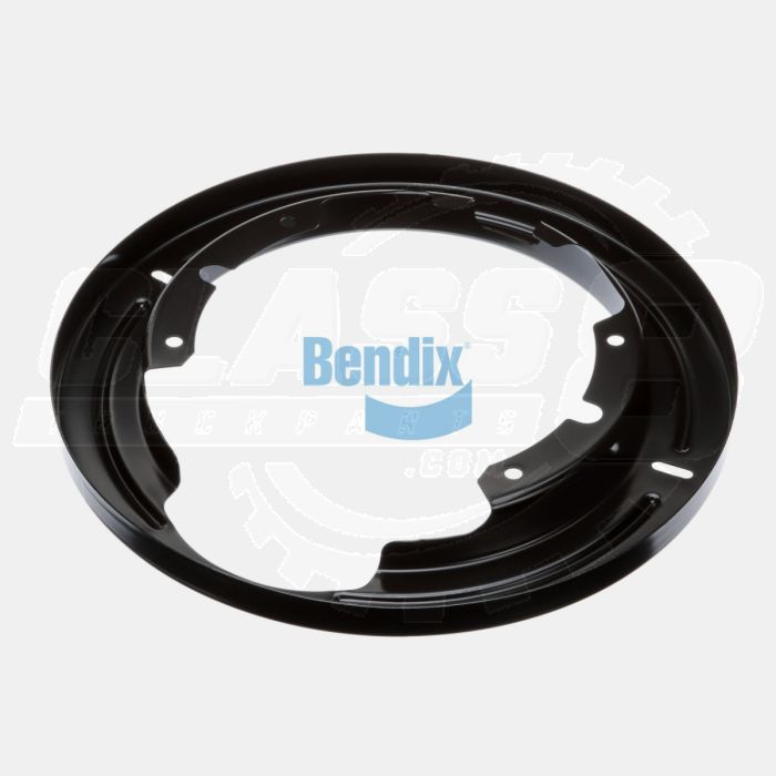 Bendix 1008079N Shield, Dust